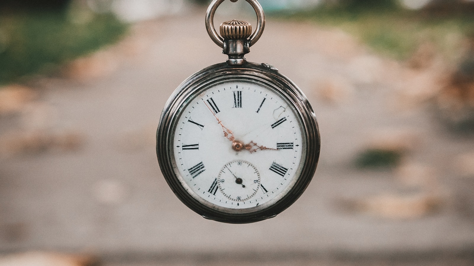 A collection of vintage watches laid out on dark felt